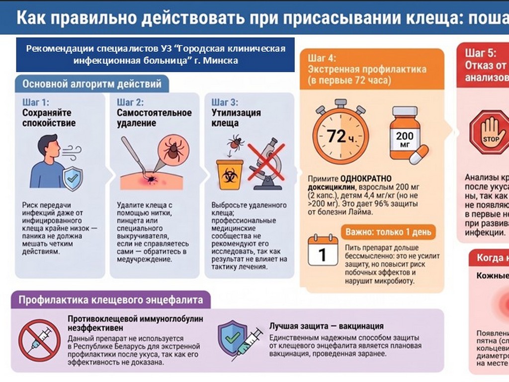 Как правильно действовать при присасывании клеща: пошаговое руководство